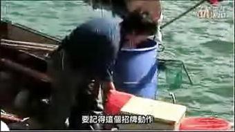 国产伊甸园,探寻东方梦幻乐园的奇幻之旅